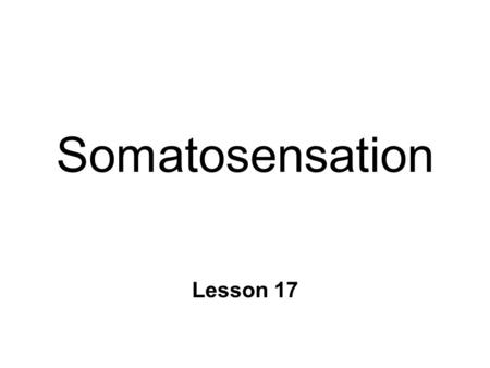 Somatosensation Lesson 17. Somatosensation n Sensory info from body n Cutaneous senses l exteroceptors l touch / pain n Kinesthesia l interoceptors l.