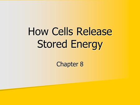 How Cells Release Stored Energy Chapter 8. Photosynthesizers get energy from the sun Photosynthesizers get energy from the sun Animals get energy second-