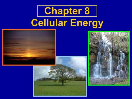 Chapter 8 Cellular Energy. Cooperative Activity What do you know about energy?