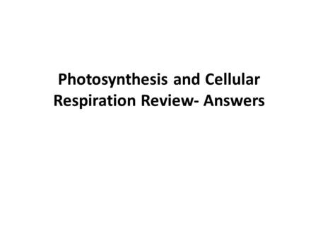 Photosynthesis and Cellular Respiration Review- Answers.
