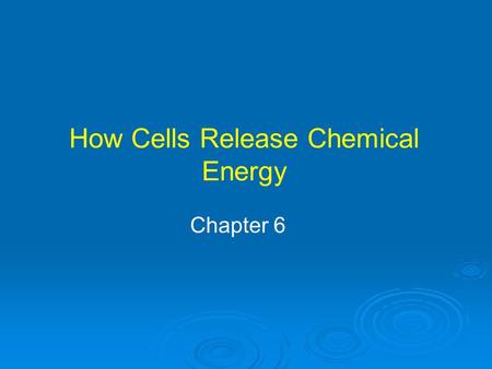 How Cells Release Chemical Energy Chapter 6. Organelles where aerobic respiration produces energy molecule ATP Mitochondrial diseases affect body’s ability.