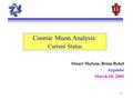 1 Cosmic Muon Analysis: Current Status Stuart Mufson, Brian Rebel Argonne March 18, 2005.