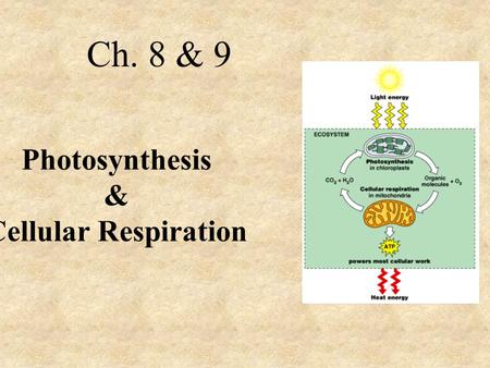 Photosynthesis & Cellular Respiration Ch. 8 & 9. Autotrophs - Photosynthesis Heterotrophs – Eat food Food and Energy.