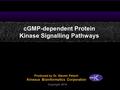 CGMP-dependent Protein Kinase Signalling Pathways Produced by Dr. Steven Pelech Kinexus Bioinformatics Corporation Copyright 2010.