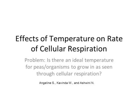 Effects of Temperature on Rate of Cellular Respiration Problem: Is there an ideal temperature for peas/organisms to grow in as seen through cellular respiration?