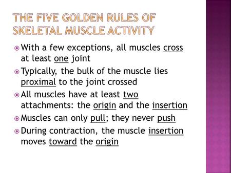 The Five Golden Rules of Skeletal Muscle Activity