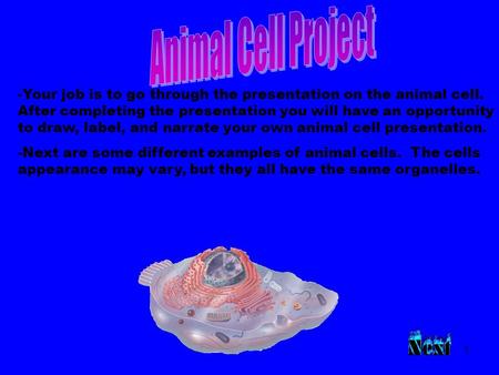 1 -Your job is to go through the presentation on the animal cell. After completing the presentation you will have an opportunity to draw, label, and narrate.