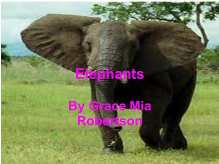 Elephants By Grace Mia Robertson. Facts Elephants are large and grey have big ears and long trunks.If all elephants seem the same to you take a closer.