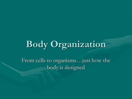 Body Organization From cells to organisms…just how the body is designed.