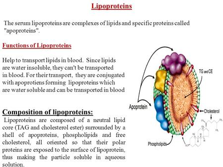 Lipoproteins The serum lipoproteins are complexes of lipids and specific proteins called apoproteins. Functions of Lipoproteins Help to transport lipids.