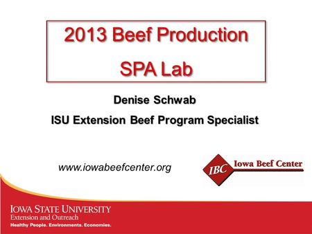 Denise Schwab ISU Extension Beef Program Specialist 2013 Beef Production SPA Lab 2013 Beef Production SPA Lab www.iowabeefcenter.org.