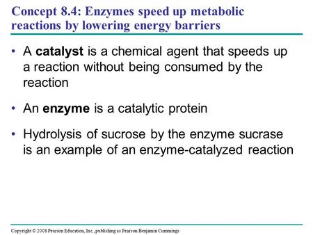 Concept 8.4: Enzymes speed up metabolic reactions by lowering energy barriers A catalyst is a chemical agent that speeds up a reaction without being consumed.