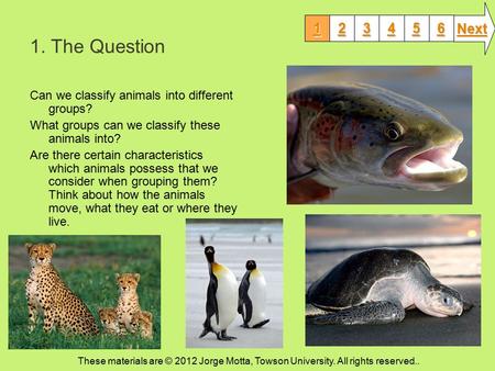 1. The Question Can we classify animals into different groups? What groups can we classify these animals into? Are there certain characteristics which.