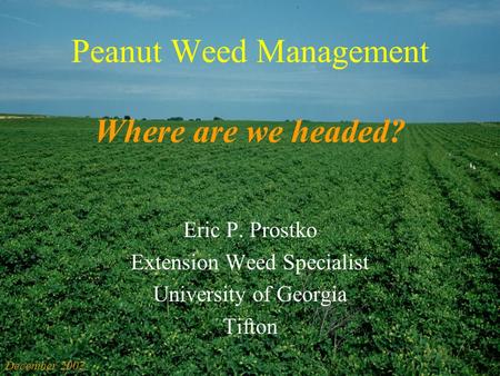 Peanut Weed Management Where are we headed? Eric P. Prostko Extension Weed Specialist University of Georgia Tifton December 2002.