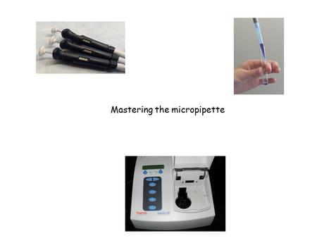 Mastering the micropipette. What is a micropipette? How do you use a micropipette? How can I determine if I’m pipetting correctly?