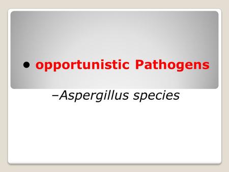 Opportunistic Pathogens –Aspergillus species. Aspergillosis is an infection caused by Aspergillus, a common mold that lives indoors and outdoors. Most.
