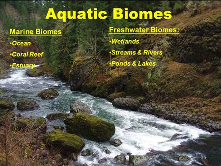 Aquatic Biomes Freshwater Biomes: Wetlands Streams & Rivers Ponds & Lakes Marine Biomes Ocean Coral Reef Estuary.