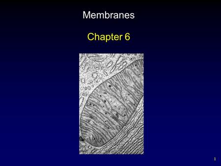 1 Membranes Chapter 6. 2 Outline Phospholipid Bilayer Fluid Mosaic Model Membrane Proteins Diffusion Facilitated Diffusion Osmosis – Osmotic Balance Bulk.