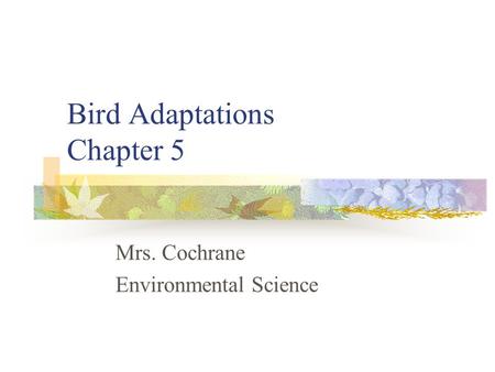 Bird Adaptations Chapter 5 Mrs. Cochrane Environmental Science.
