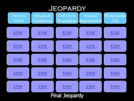 Jeopardy $100 The Cell Cycle Mitosis & Cytokinesis Cell Cycle Regulation Asexual Reproduction Multicellular Life $200 $300 $400 $500 $400 $300 $200 $100.