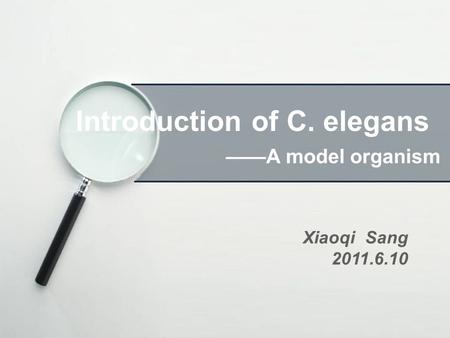 Introduction of C. elegans ——A model organism Xiaoqi Sang 2011.6.10.