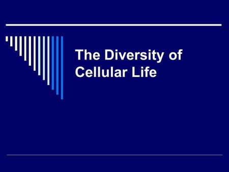 The Diversity of Cellular Life. Unicellular Organisms 1. An organism that consists of a single cell is called a unicellular organism. Unicellular organisms.