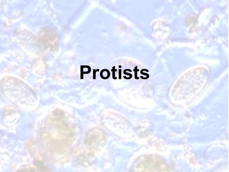 Protists. 1.A protist is any organism that is not a plant, an animal, a fungus, or a prokaryote.