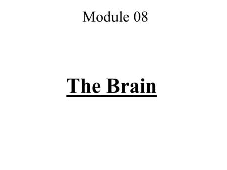 The Brain Module 08. I. Lower-Level Structures Brainstem, Thalamus, and Cerebellum.