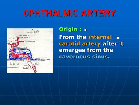 0PHTHALMIC ARTERY Origin : Origin : From the internal carotid artery after it emerges from the cavernous sinus. From the internal carotid artery after.