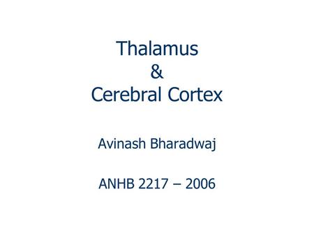 Thalamus & Cerebral Cortex Avinash Bharadwaj ANHB 2217 – 2006.