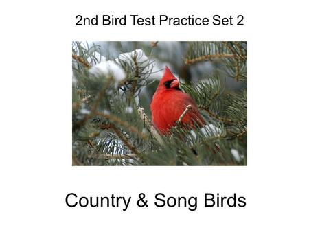 Country & Song Birds 2nd Bird Test Practice Set 2.