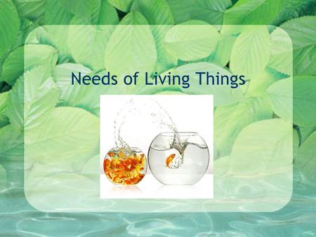 Needs of Living Things. What do you need? Think for a moment. What could you not live without? Make a list in your notes.