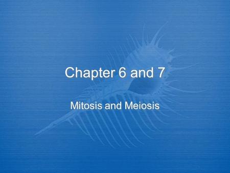 Chapter 6 and 7 Mitosis and Meiosis. Cell divisions  There are two kinds of cells in a multicellular organism-  BODY CELLS (SOMATIC) these are the cells.