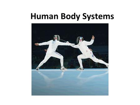 Human Body Systems Homeostasis –maintaining internal balance in the body organism must keep internal conditions stable even if environment changes Homeostasis.