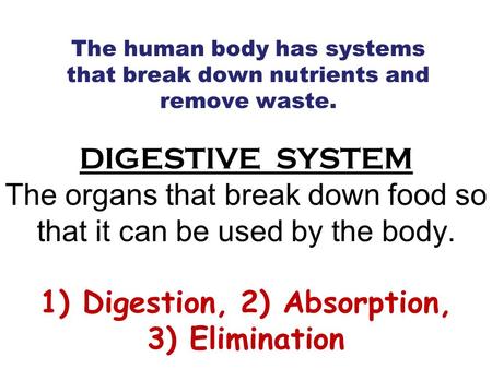 DIGESTIVE SYSTEM The organs that break down food so that it can be used by the body. 1) Digestion, 2) Absorption, 3) Elimination The human body has systems.