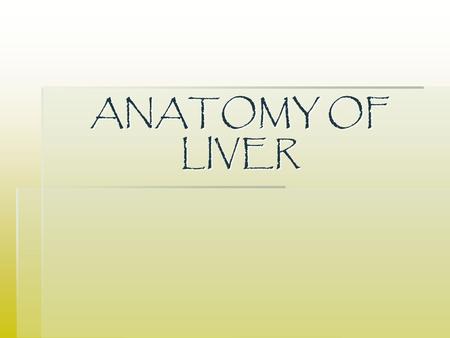 ANATOMY OF LIVER. Lesson Overview  The liver  The gall bladder  Bile  The relationship with other intra-abdominal structures.