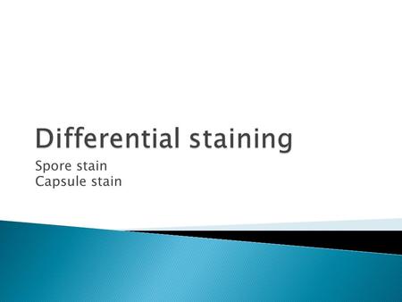 Spore stain Capsule stain.  Members of the anaerobic genera Clostridium species, aerobic Bacillus species are examples of organisms that have the capacity.