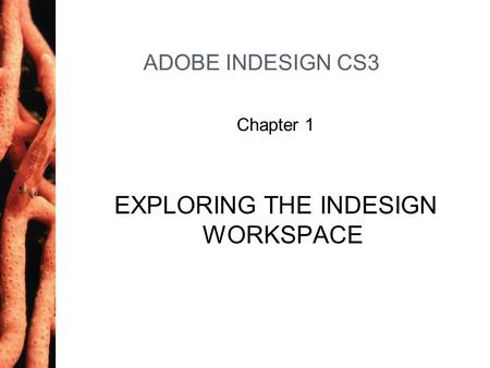 ADOBE INDESIGN CS3 Chapter 1 EXPLORING THE INDESIGN WORKSPACE.