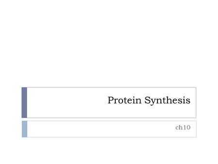 Protein Synthesis ch10. Nucleic Acids  Two Main Types:  DeoxyriboNucleic Acid  RiboNucleic Acid  mRNA  tRNA  rRNA or Ribosomes  Little pieces of.