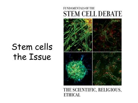 Stem cells the Issue. Learning Objectives 1.To understand why some people may not agree with the use of embryonic stem cells. 2.To know whether there.