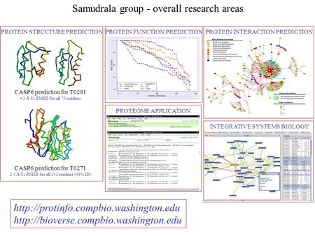 Samudrala group - overall research areas CASP6 prediction for T0281 4.3 Å C α RMSD for all 70 residues CASP6 prediction for T0271 2.4 Å C α RMSD for all.