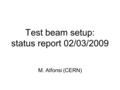 Test beam setup: status report 02/03/2009 M. Alfonsi (CERN)