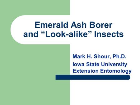 Emerald Ash Borer and “Look-alike” Insects Mark H. Shour, Ph.D. Iowa State University Extension Entomology.