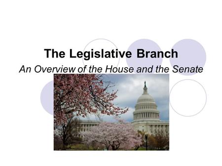 The Legislative Branch An Overview of the House and the Senate.