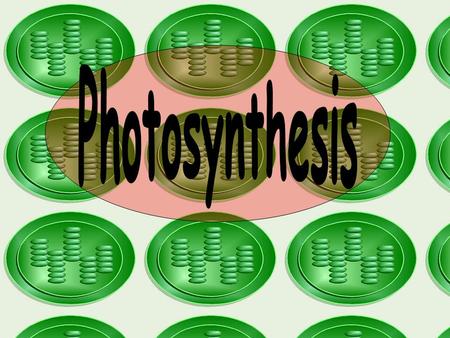 Photosynthesis is the process by which plants use sunlight, carbon dioxide and water to produce high energy carbohydrates such as sugars and starches.