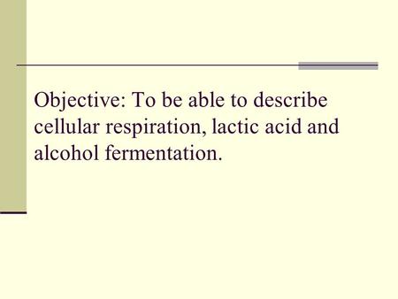 Objective: To be able to describe cellular respiration, lactic acid and alcohol fermentation.