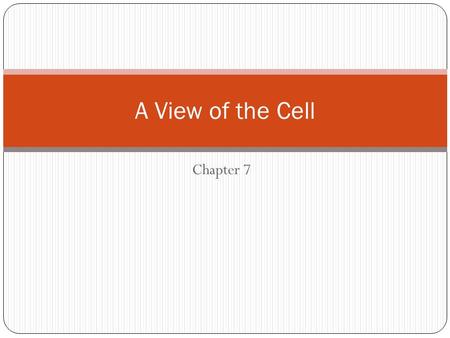 Chapter 7 A View of the Cell. What is a cell? Cells are the basic units of living things. Plants, animals, people, and bacteria are made of cells. The.