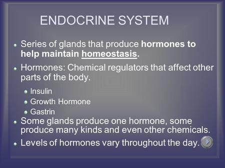 ENDOCRINE SYSTEM Series of glands that produce hormones to help maintain homeostasis. Hormones: Chemical regulators that affect other parts of the body.