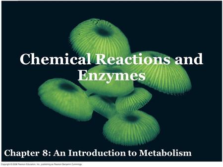 Chemical Reactions and Enzymes Chapter 8: An Introduction to Metabolism.