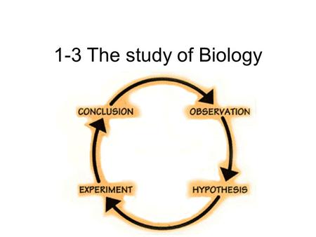 1-3 The study of Biology. Objectives Outline the steps of the scientific method Summarize how observations are used to form hypothesis List the elements.